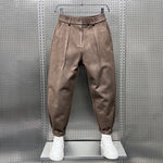 Judd men's textured pleated tapered pants in Coffee, view 7